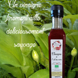 Vinaigre à l’ail des ours