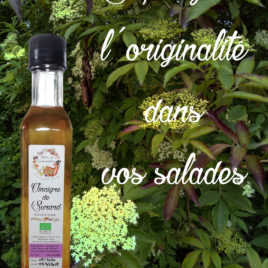 vinaigre de sureau