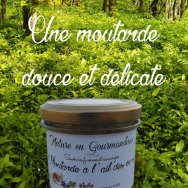 Moutarde, moutarde à l'ail des ours, moutarde aromatisée, condiment à l'ail des ours, condiment