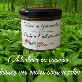 Pesto, pesto ail des ours, fromage de chèvre, ail, ail des ours, ail sauvage